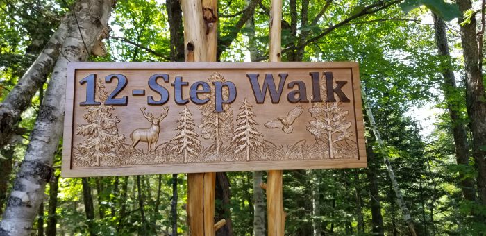  The 12-Step Wilderness Walk